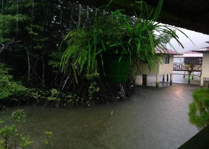 Mangrove Paradise Resort